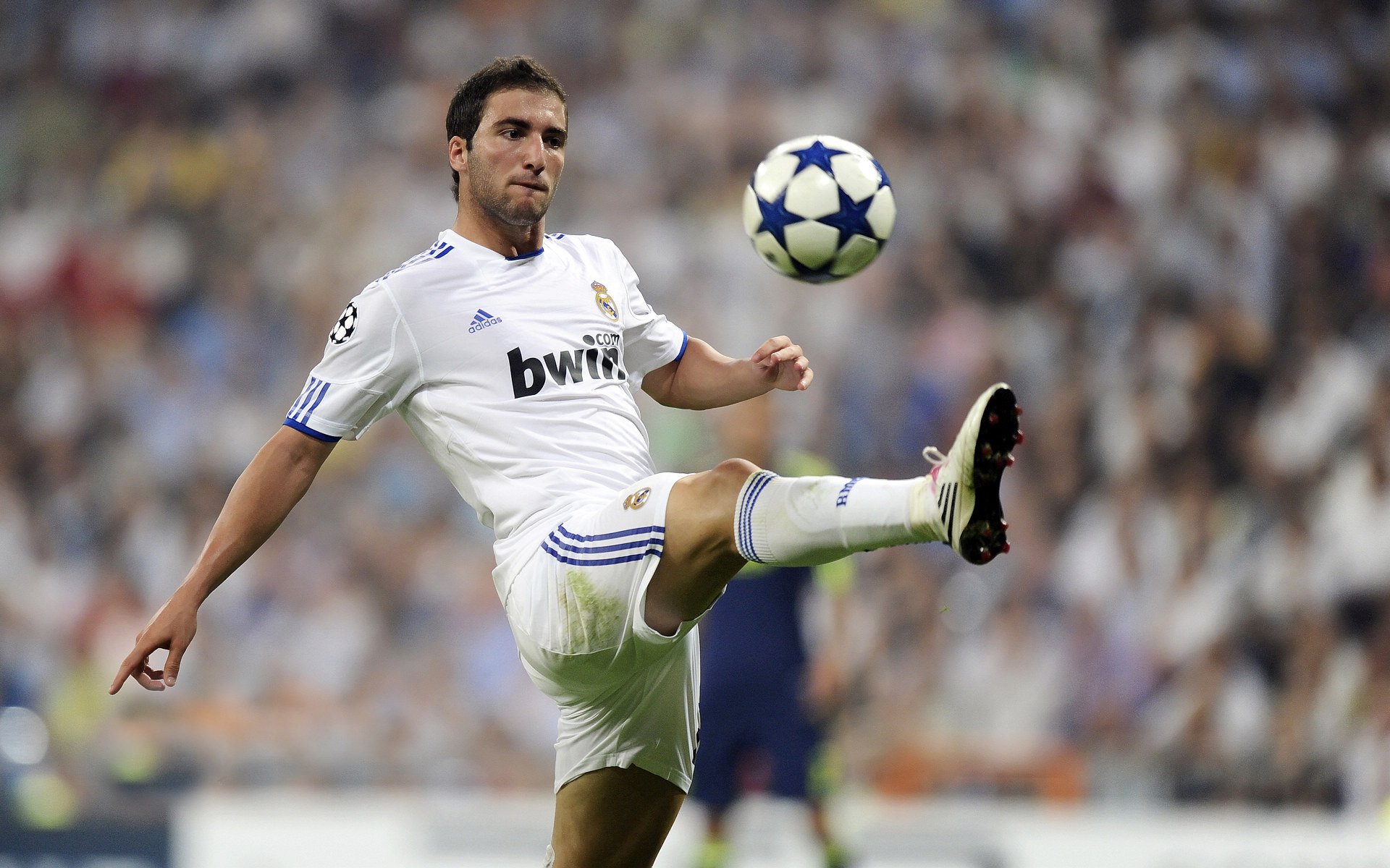 FaZe举办LOL线上粉丝活动，faze战队在哪里直播